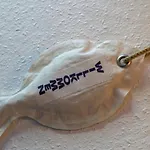 Seestern