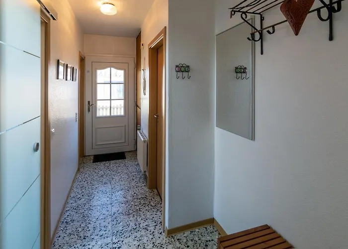 Seestern * 多纳莫塞尔